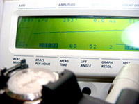 ���x�����̉摜