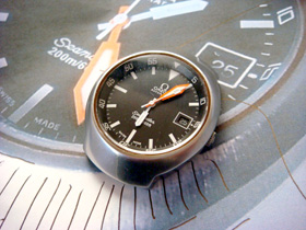 �V�[�}�X�^�[�̏C���O�摜