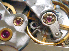 �~�܂�̌����̉摜