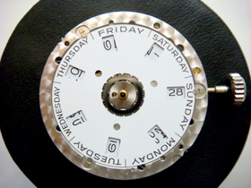 �j���̉摜