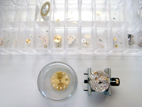 �����E���̉摜