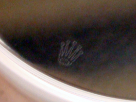 ���[�U�[�ō���̉摜