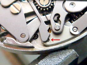 �I�V�h���̉摜