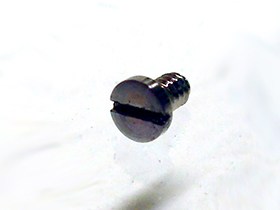 �T�r�����������l�W�̉摜