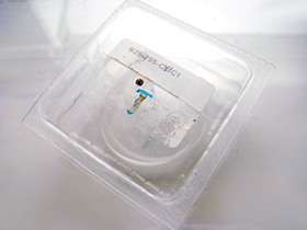 �T�t�@�C�A���h�̉摜