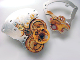 �T�r�������������j�b�g�̉摜