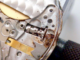 �I�V�h���̉摜