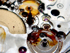 �T�r������̉摜