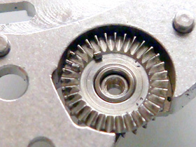 ���r�[�������̉摜