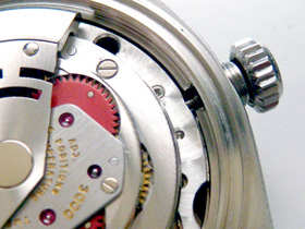 �T�r����̉摜