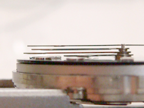 �j������̉摜