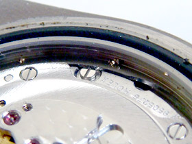 �p���Ԃ̉摜