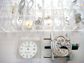 �����̉摜