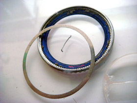 �S�~�⚺�̉摜