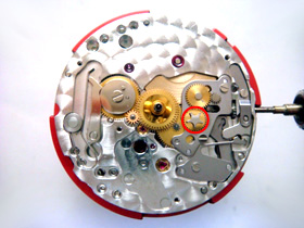 �V�����Ԃ̉摜