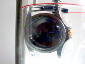 �h���e�X�g�̉摜