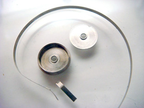 �[���}�C�؂�̉摜