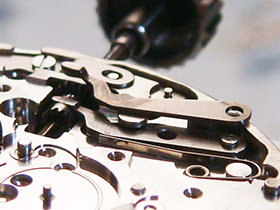 �J���k�L�̉摜