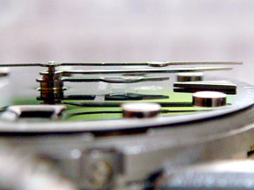 �b�j���C�������摜