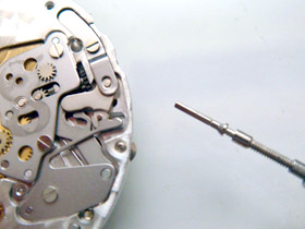 ��[�����̉摜