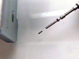 �����c�̐�[�����錊�̉摜