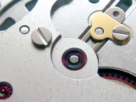 ���΂̖��̉摜