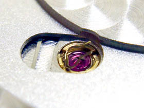 �ϐk�o�l�̉摜